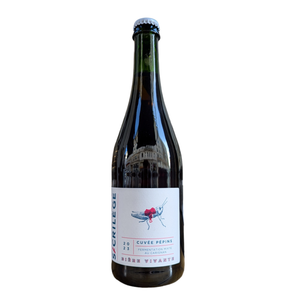 Cuvee Pepins 2023 | Sacrilège | 6.2° | Bière fermentée sur Marc, au moût de raisin