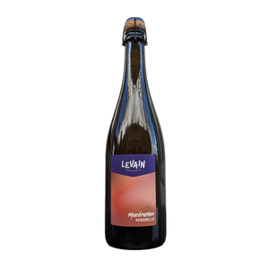 Macération - Mirabelle | Brasserie Levain | 7° | Bière Sauvage