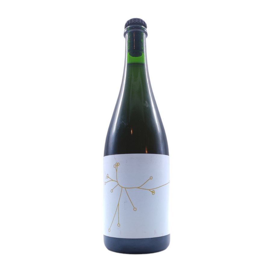 Amer Brett's Mirabelles Sauvages - Safran | Nano Brasserie SPO | 7.3° | Bière Sauvage